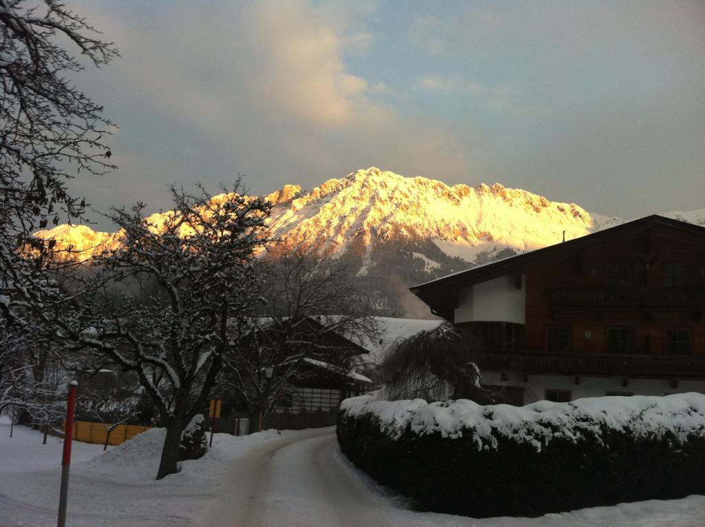 Appartementhaus Zum Schneider Scheffau am Wilden Kaiser Eksteriør billede
