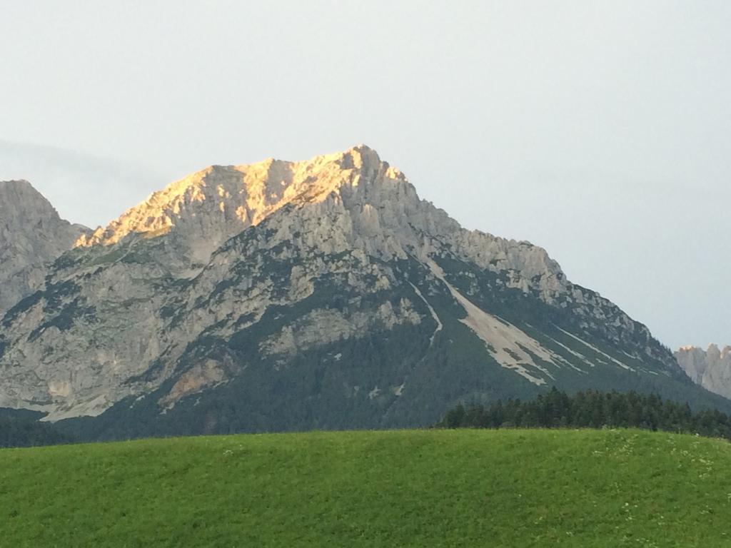Appartementhaus Zum Schneider Scheffau am Wilden Kaiser Eksteriør billede